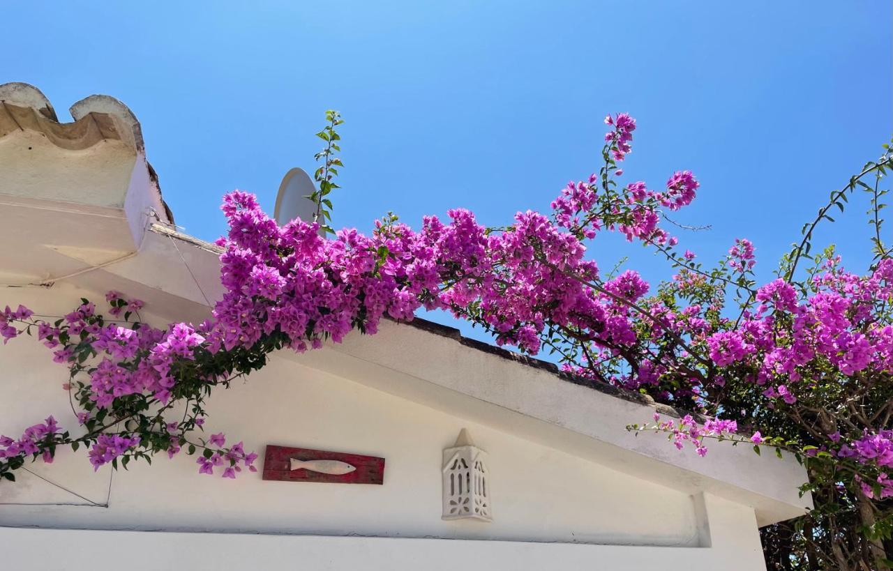 Charming Villa With Heated Pool Near Sandy Beach, Hiking, Golf And Wineries Praia Da Luz Экстерьер фото
